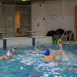 IMG_4700 IMG_4700