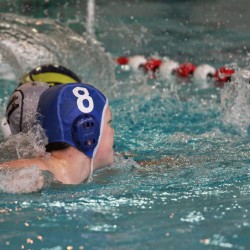 IMG_4735 IMG_4735