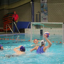 IMG_4824 IMG_4824