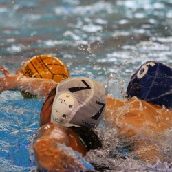 IMG_4876 IMG_4876