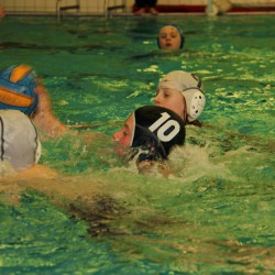 IMG_8034 IMG_8034
